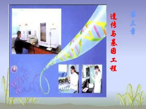选修全一册第三章第一节细胞质遗传