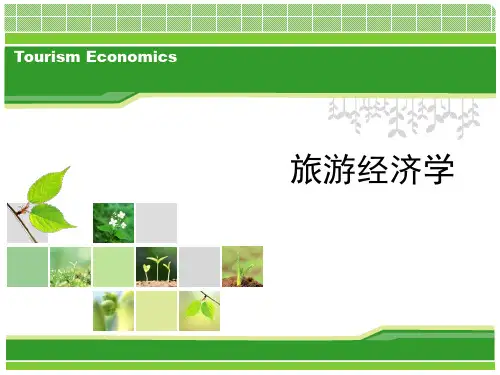 旅游经济学 供求矛盾与发展模式