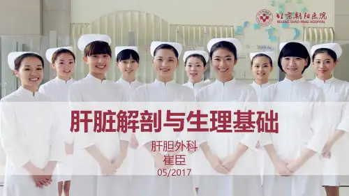 肝脏解剖与生理基础。