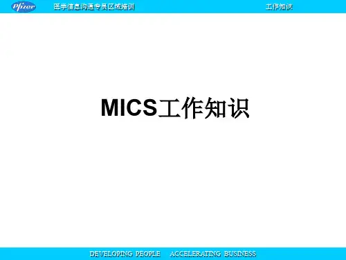 辉瑞医药代表的工作知识共38页