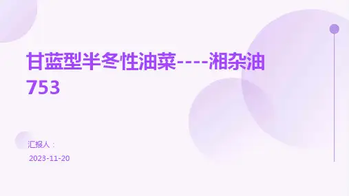 甘蓝型半冬性油菜----湘杂油753