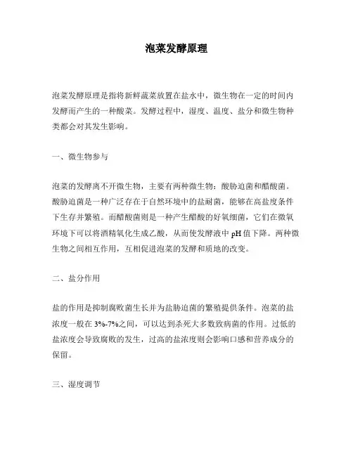 泡菜发酵原理