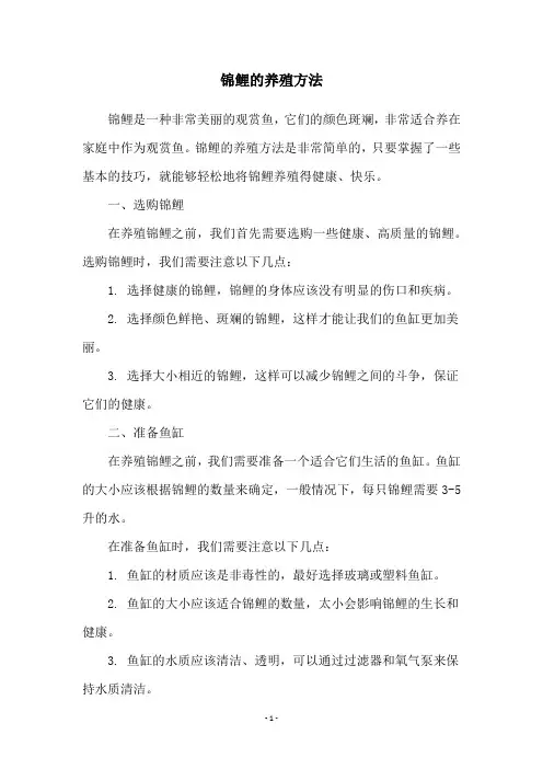 锦鲤的养殖方法