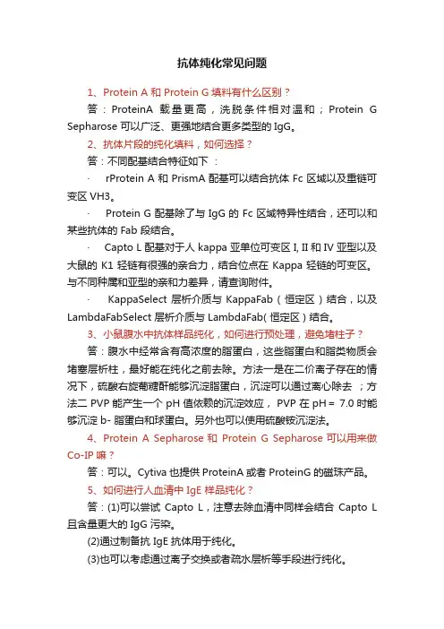 抗体纯化常见问题