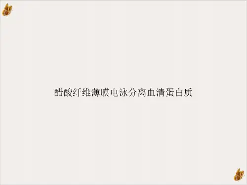 醋酸纤维薄膜电泳分离血清蛋白质ppt幻灯片
