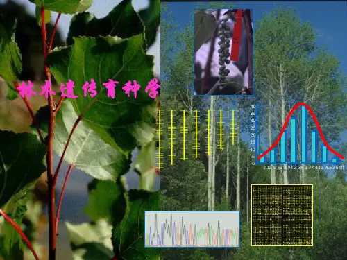 林木遗传育种学课件