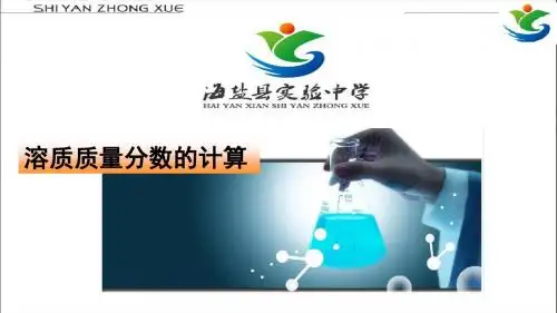 溶质质量分数的计算