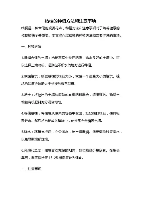 桔梗的种植方法和注意事项