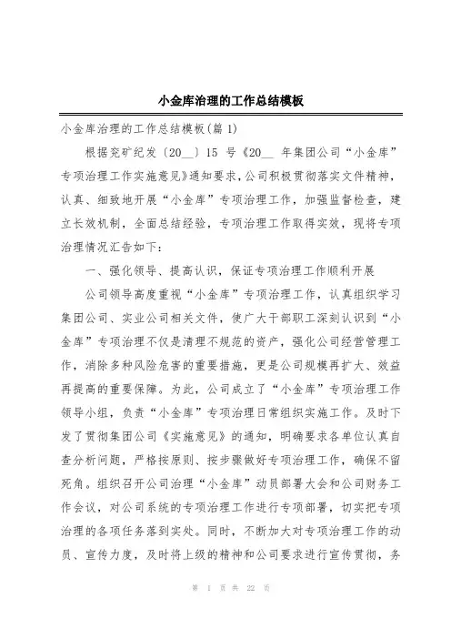 小金库治理的工作总结模板