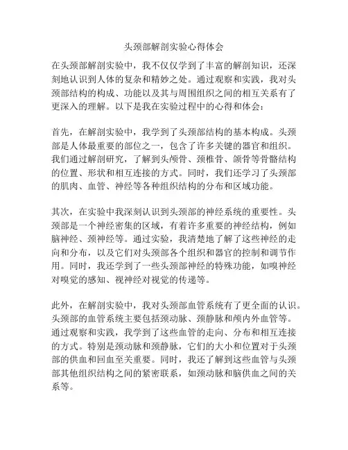 头颈部解剖实验心得体会