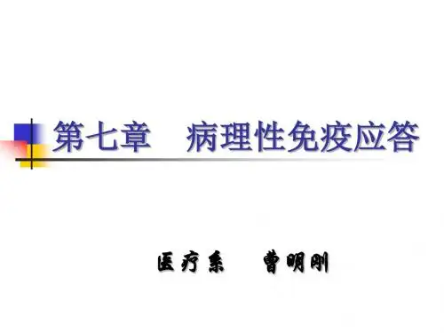 7章  病理性免疫应答