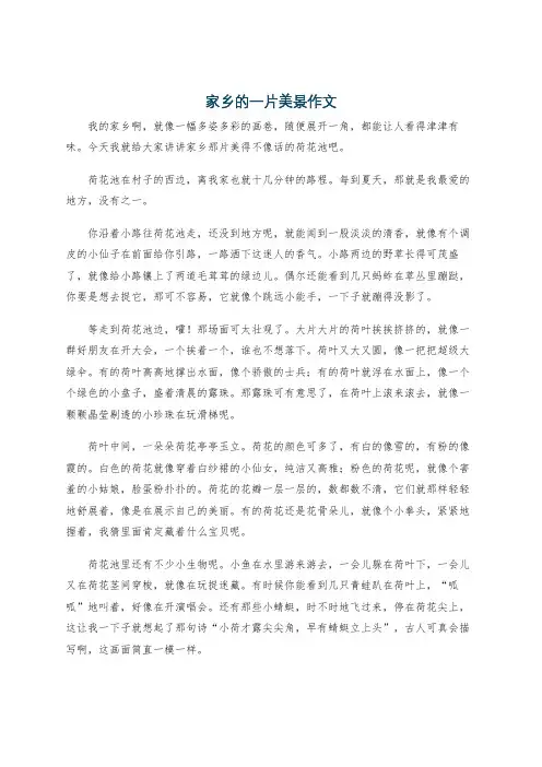 家乡的一片美景作文