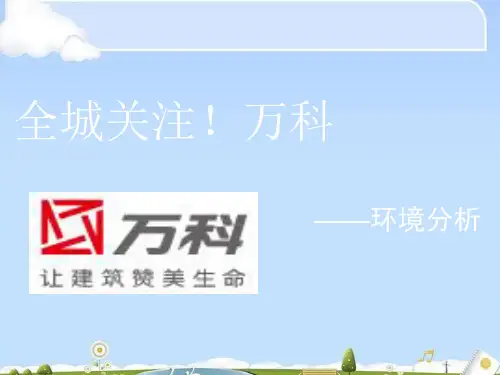 万科集团环境分析(ppt 25页)