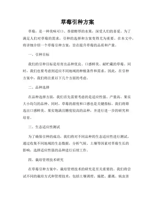 草莓引种方案