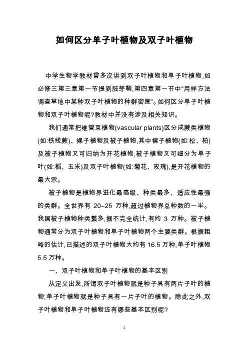 如何区分单子叶植物及双子叶植物