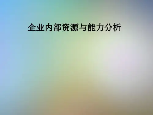 企业内部资源与能力分析