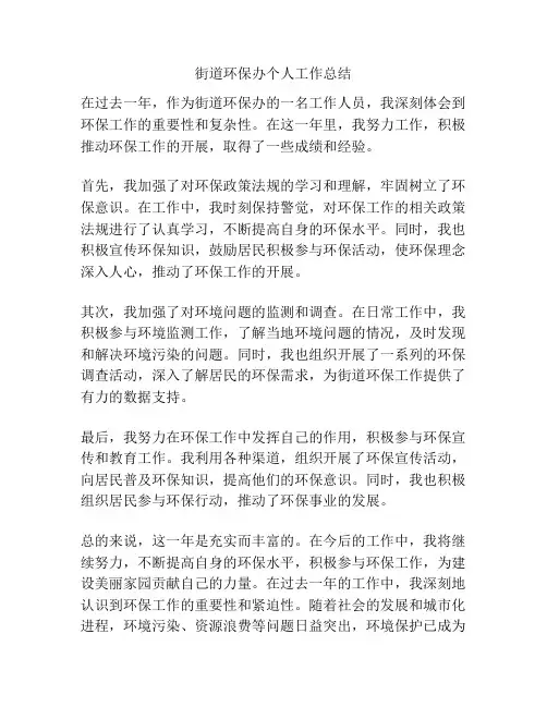 街道环保办个人工作总结