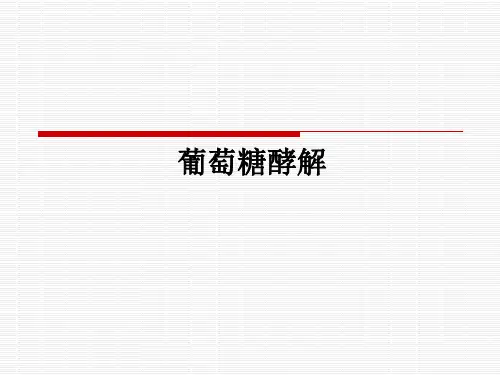 葡萄糖酵解ppt课件
