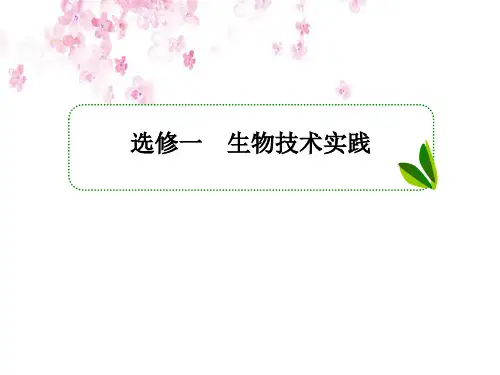 高考一轮生物复习课件(人教版)选修I专题二微生物的培养与应用