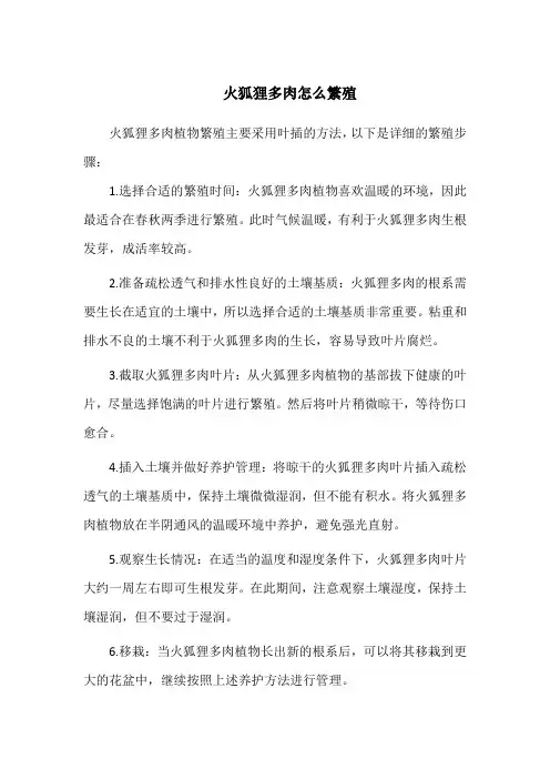 火狐狸多肉怎么繁殖