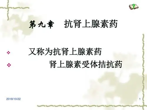 第9章  抗肾上腺素药 PPT课件