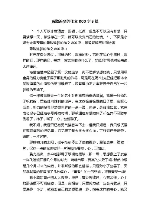 勇敢追梦的作文800字5篇