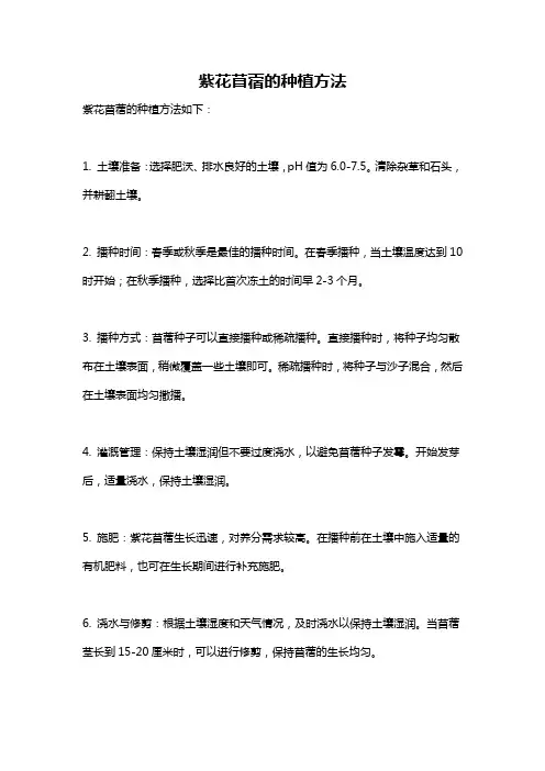 紫花苜蓿的种植方法