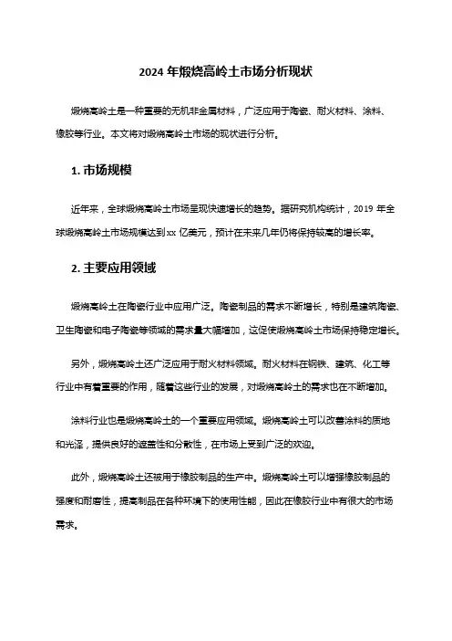 2024年煅烧高岭土市场分析现状
