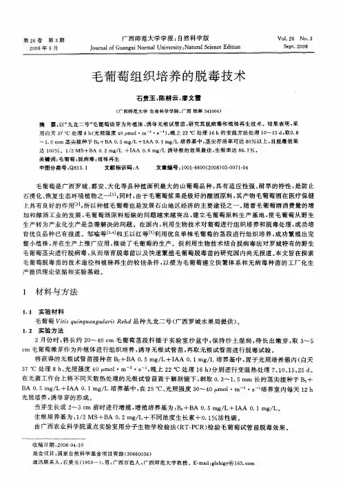 毛葡萄组织培养的脱毒技术