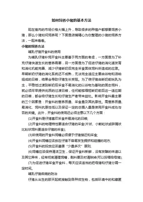 如何饲养小猪的基本方法