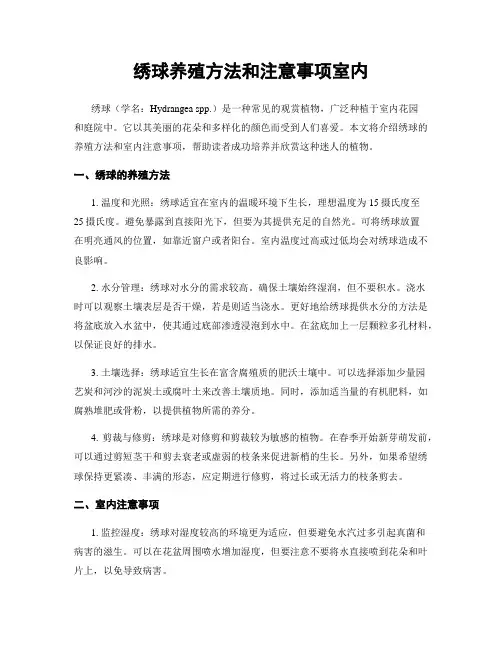 绣球养殖方法和注意事项室内