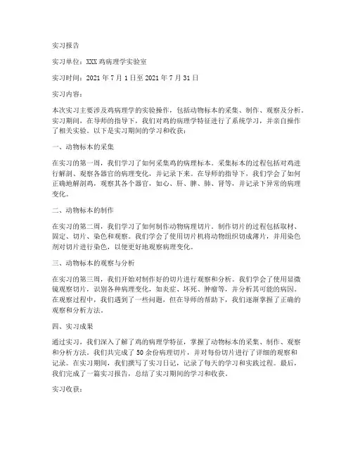 鸡病理学实习报告