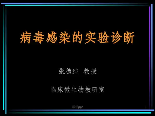 病毒感染的实验诊断