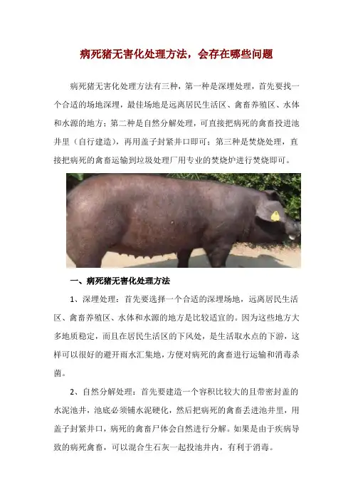 病死猪无害化处理方法,会存在哪些问题