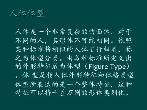 人体体型 ppt课件