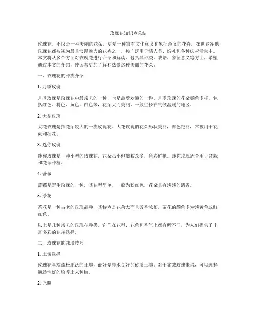玫瑰花知识点总结
