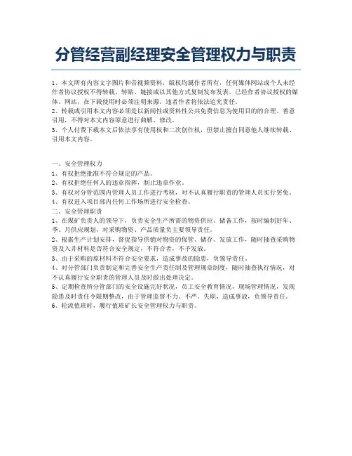 分管经营副经理安全管理权力与职责.docx