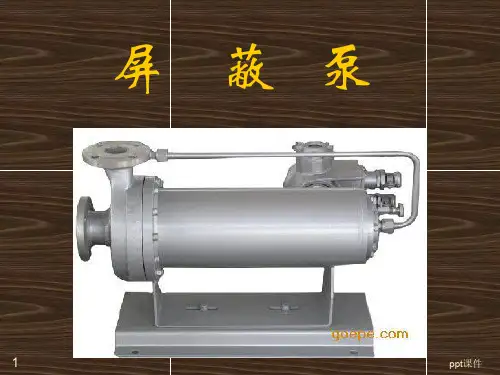 屏蔽泵知识  ppt课件
