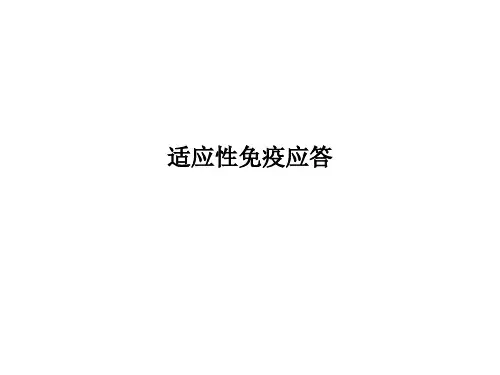 适应性免疫应答