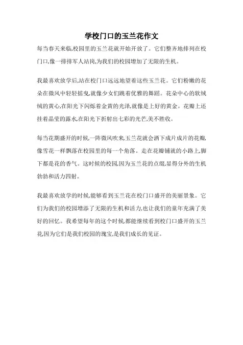 学校门口的玉兰花作文