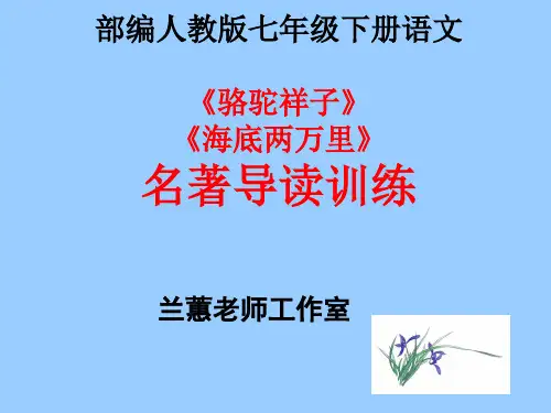 部编版语文七年级下册2本必读名著导读 阅读练习题(带答案)