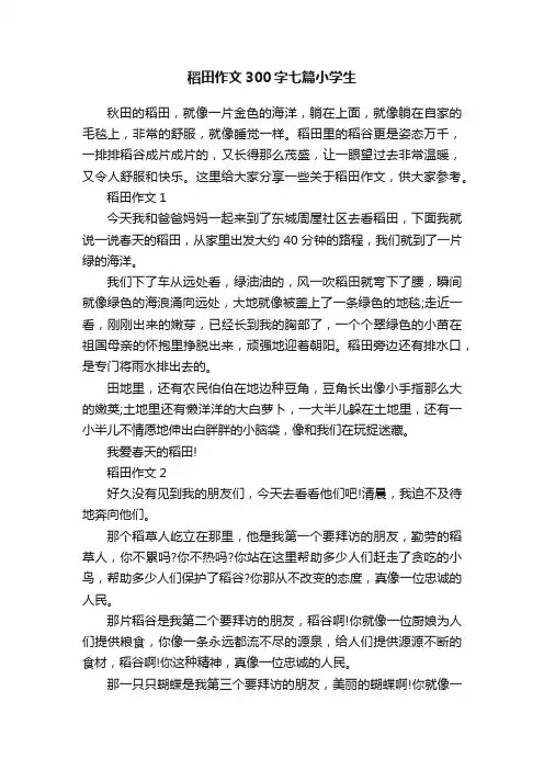 稻田作文300字七篇小学生