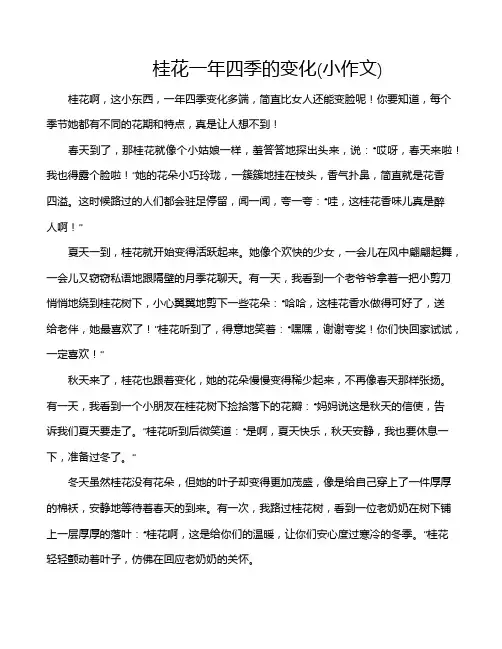 桂花一年四季的变化(小作文)