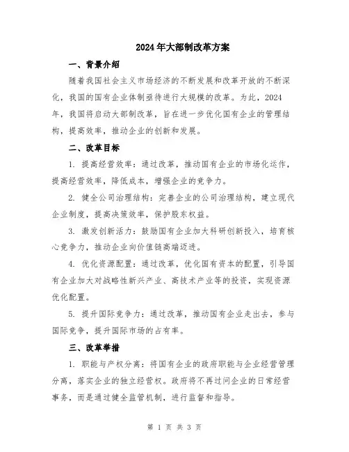 2024年大部制改革方案
