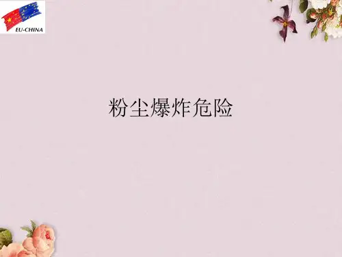 粉尘爆炸危险培训教材(PPT 62页)