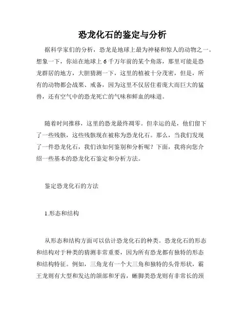恐龙化石的鉴定与分析