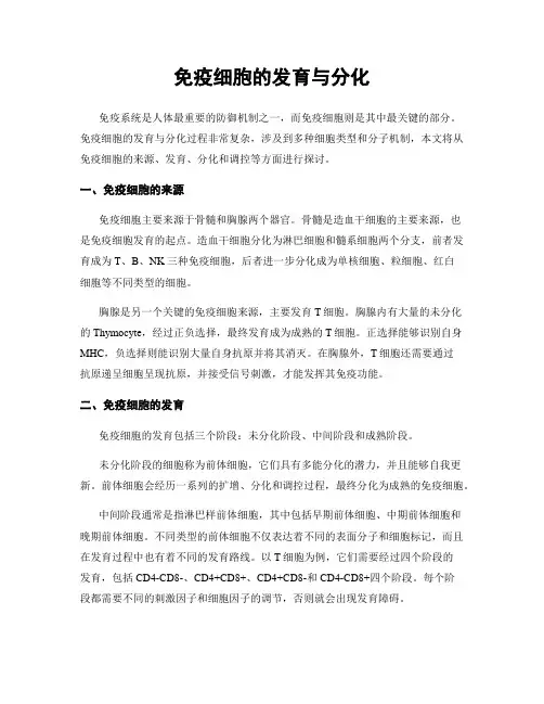 免疫细胞的发育与分化
