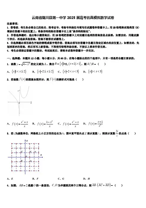 云南省陇川县第一中学2025届高考仿真模拟数学试卷含解析