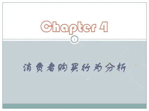 消费者购买行为分析ppt课件