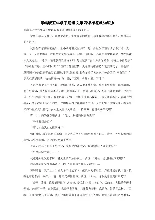 部编版五年级下册语文第四课梅花魂知识点